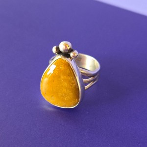 Fossilized Coral Ring | Size 9