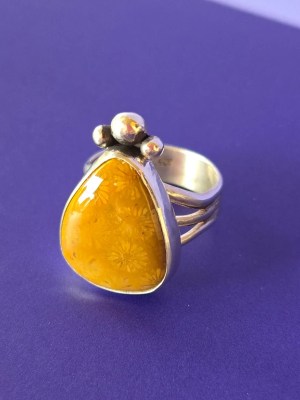 Fossilized Coral Ring | Size 9
