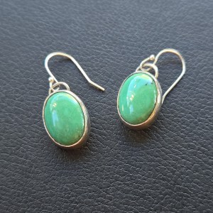 New Lander Fish-Hook Earrings