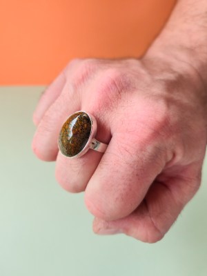 Size 14 | Fossilized Dino Coprolite